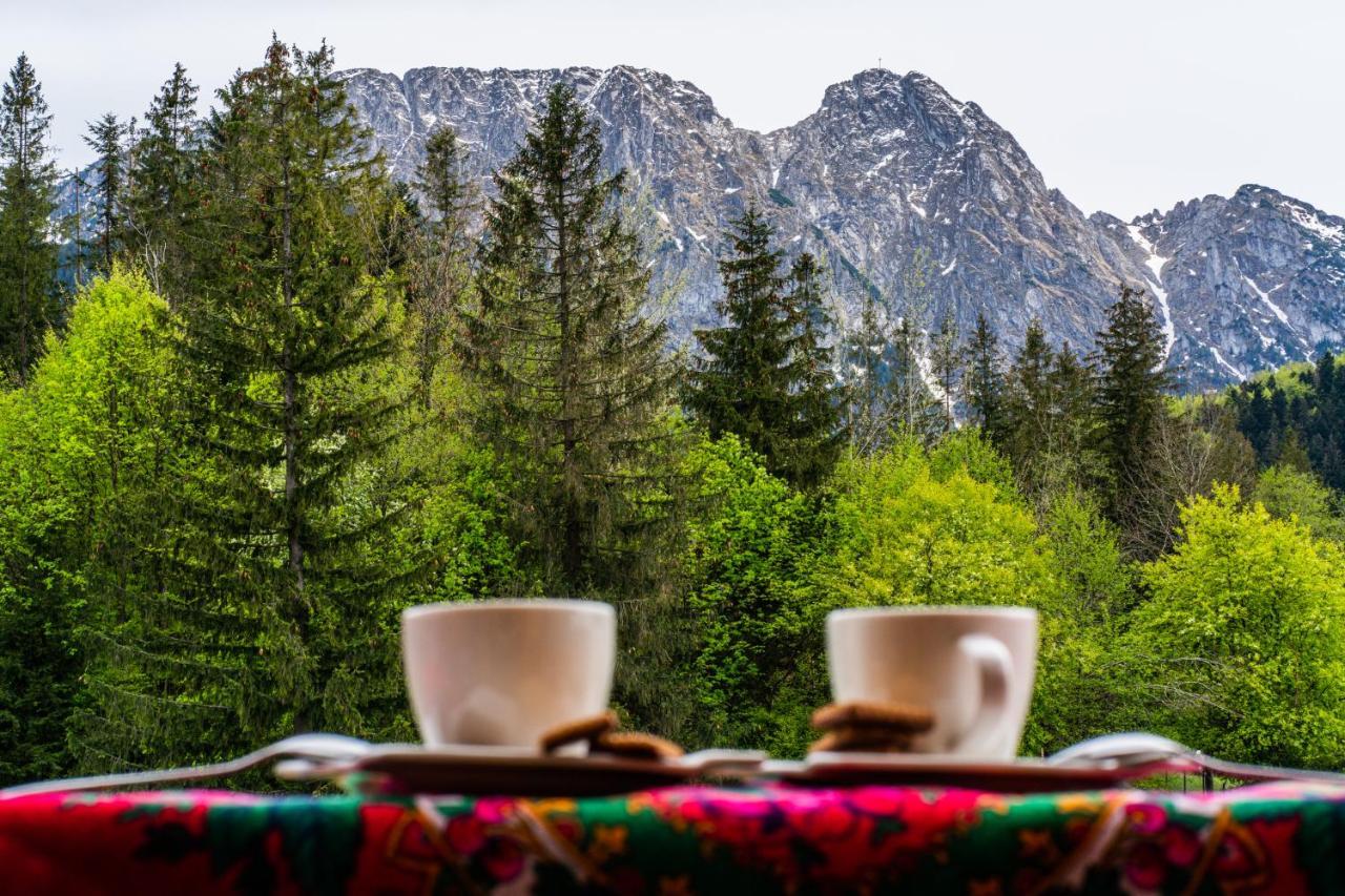 Bialy Mis Apartamenty Art & Design Zakopane Exteriér fotografie
